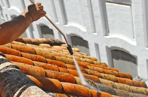 Nettoyage de toitures - Goncelin